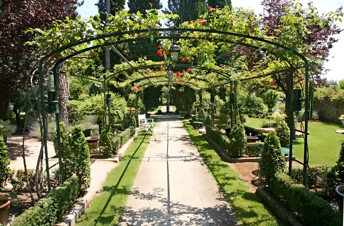 Serene Garden Pathway