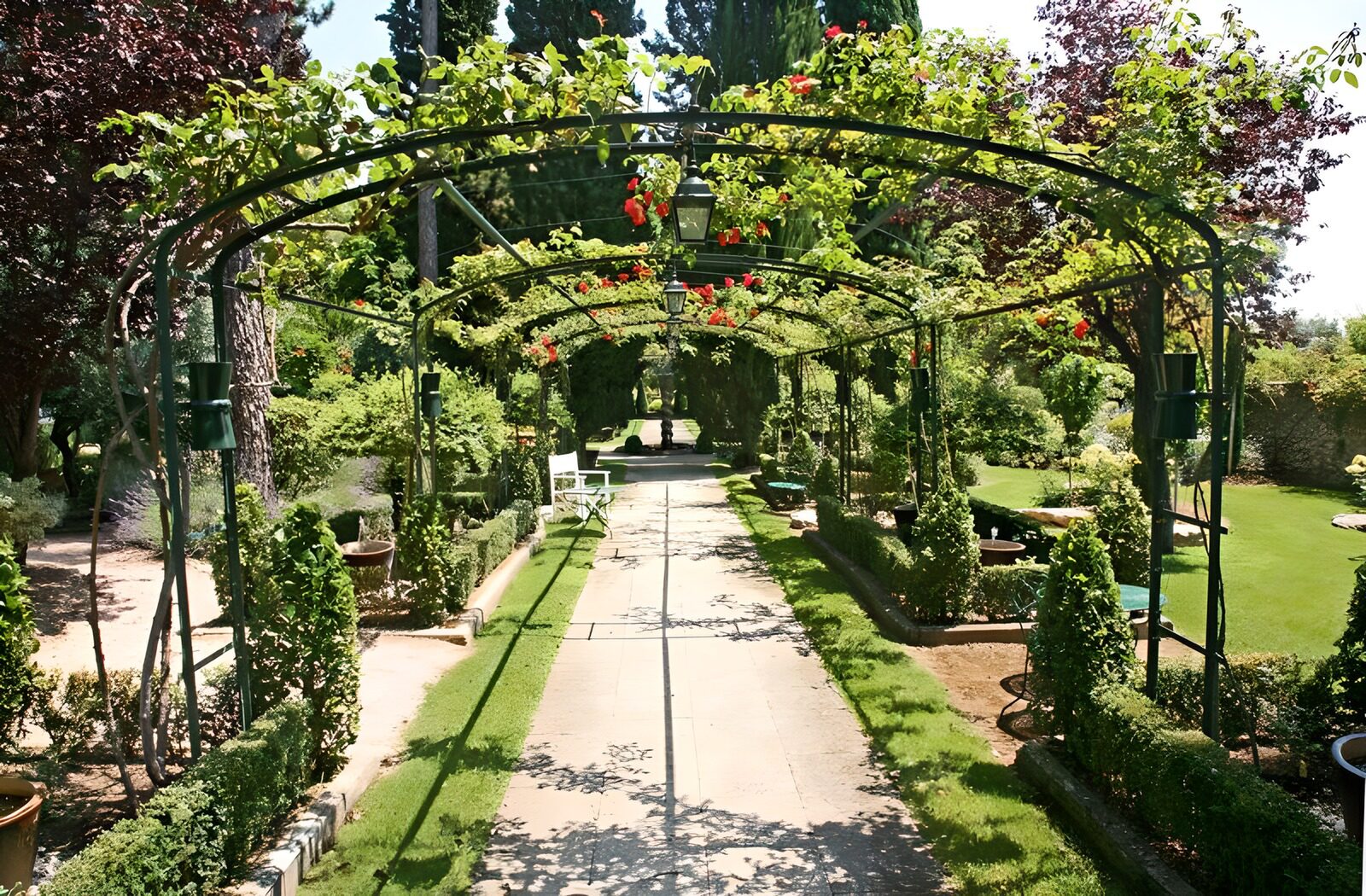 OCCOM4509057: Serene Garden Pathway