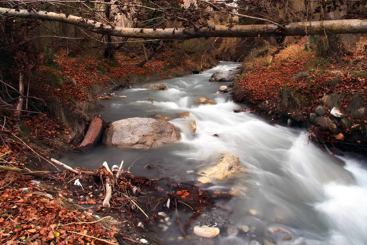 : Tranquil Stream in Autumn