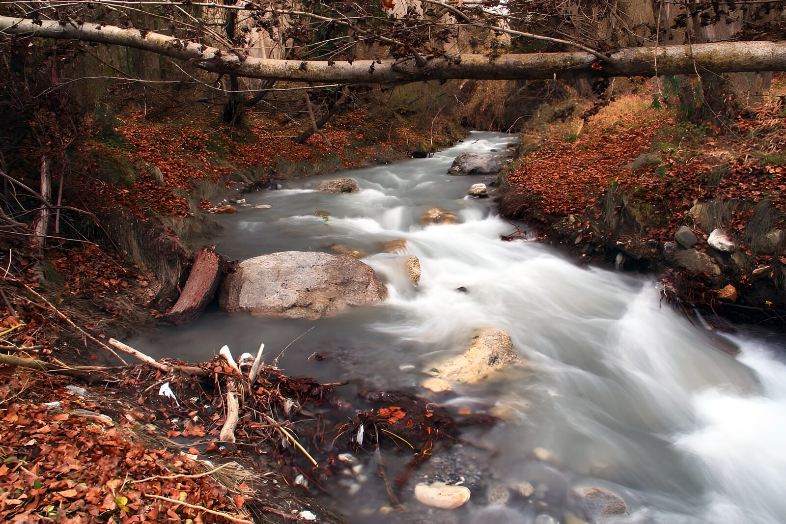 OCCOM3404721: : Tranquil Stream in Autumn