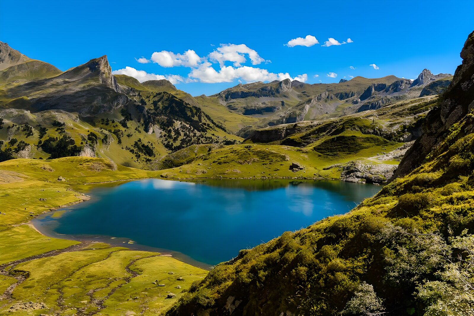OCCOM6667870: Serene Mountain Lake in Summer