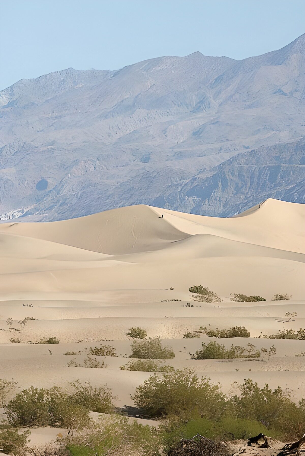 OCCOM9241621: Serene Sand Dunes Under Majestic Mountains