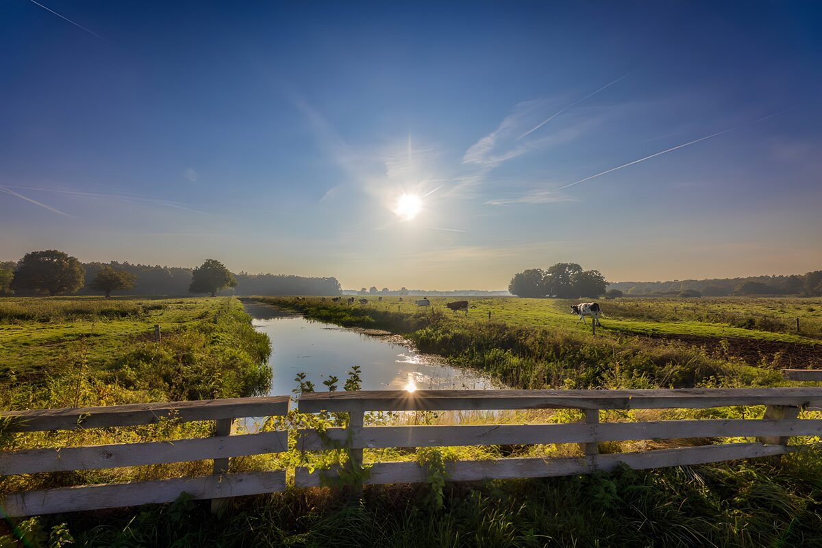 Serene Sunrise Over Pastoral Landscape