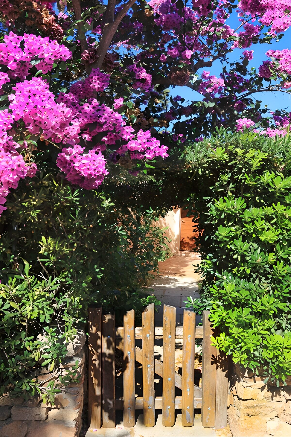 OCCOM8538215: Enchanted Garden Gateways