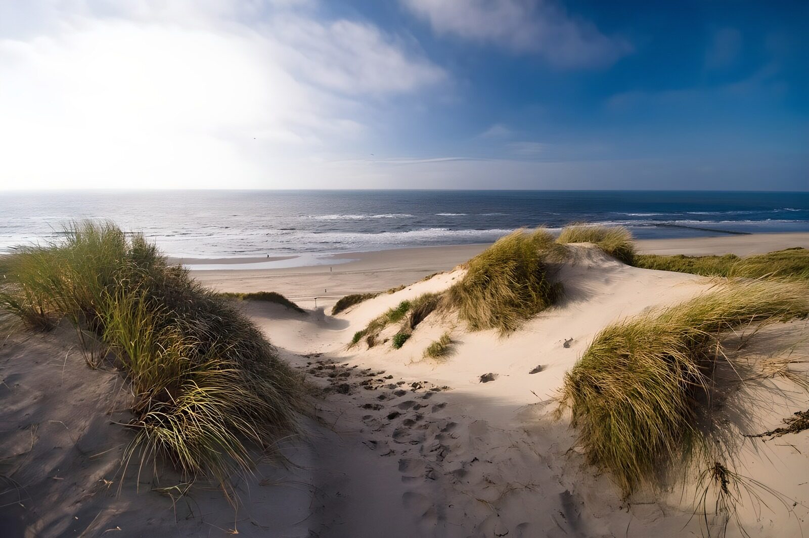 OCCOM8047668: Tranquil Dunes by the Sea