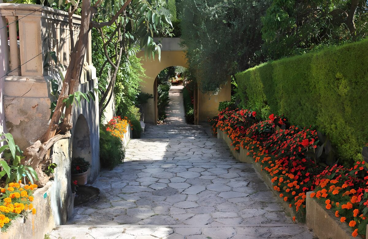 OCCOM1164578: Serene Garden Pathway Through Blooming Flowers