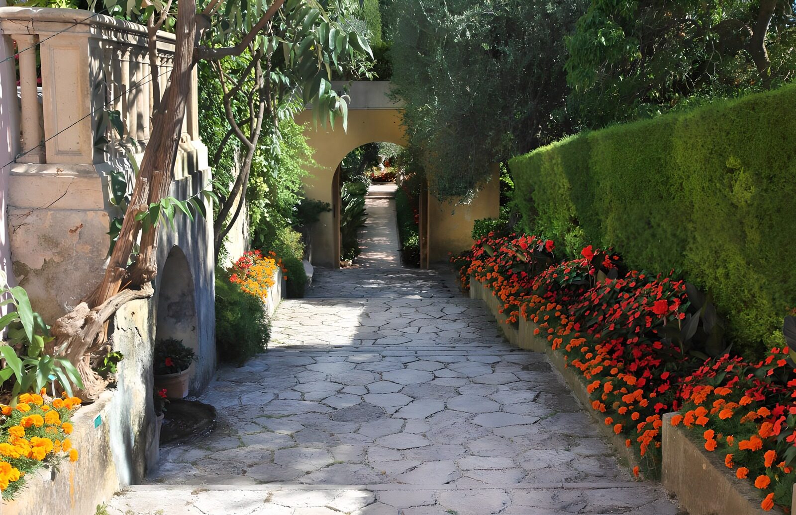 OCCOM1164578: Serene Garden Pathway Through Blooming Flowers