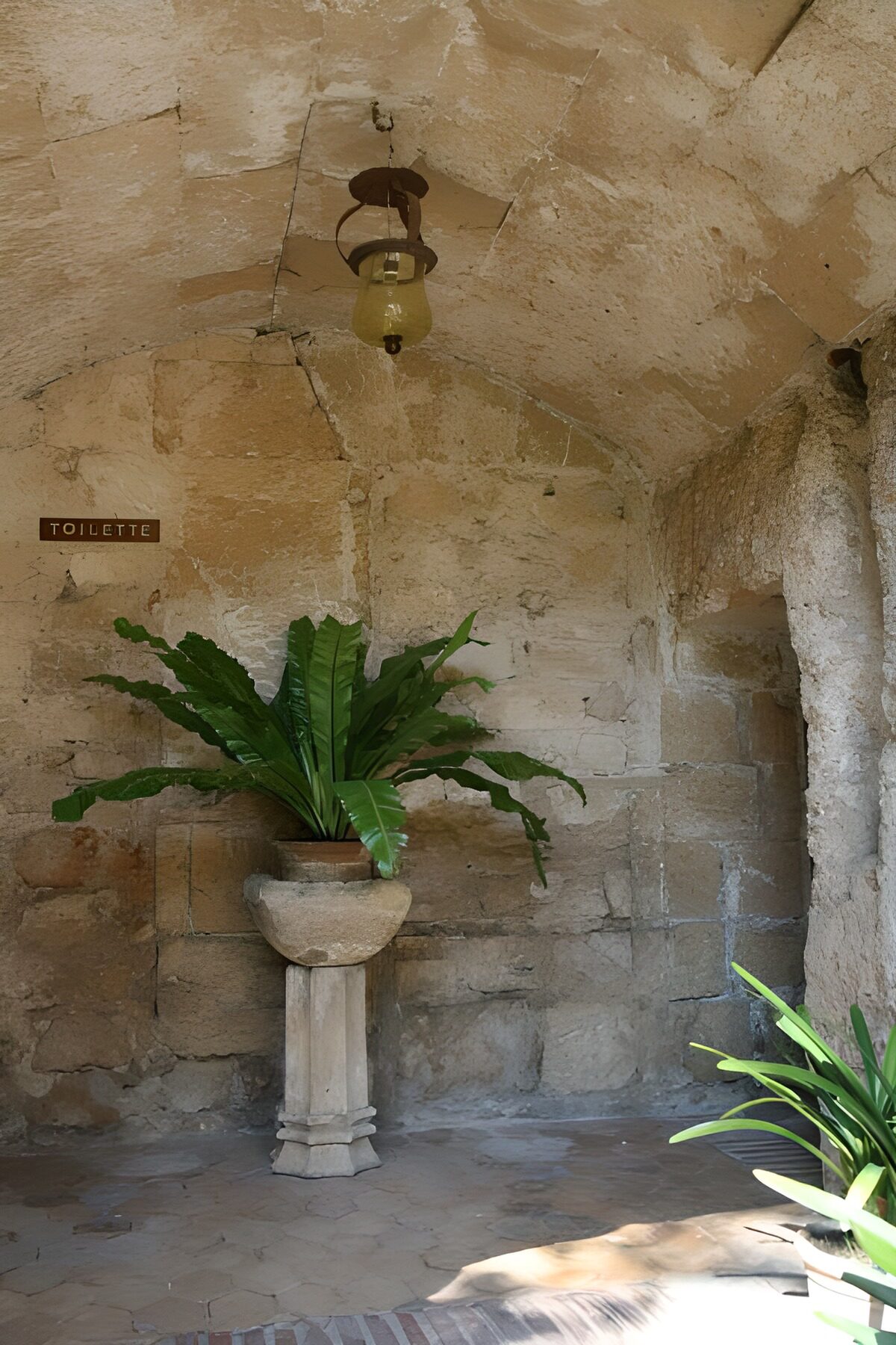 Vintage Restroom Nook with Plants