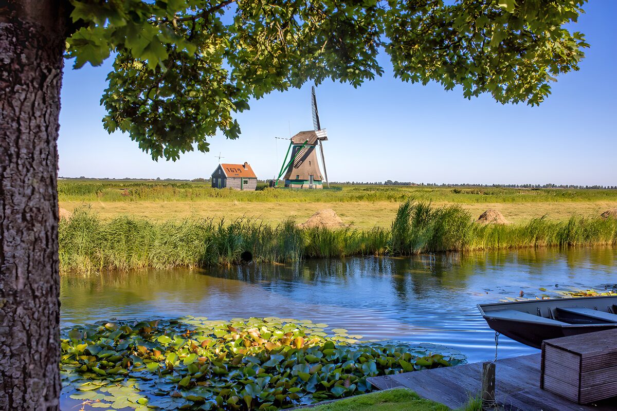 Tranquil Dutch Countryside Scene