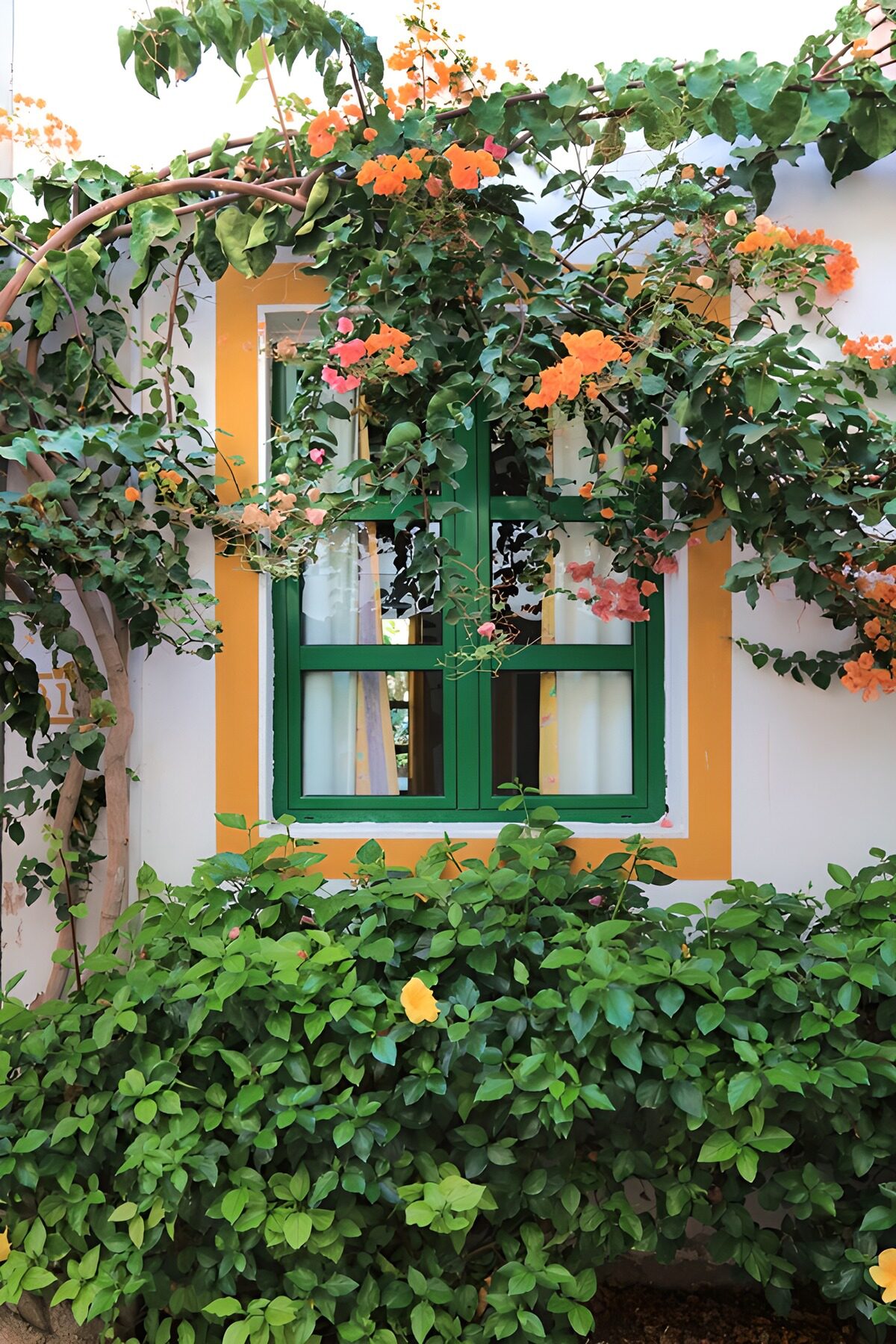 Charming Window Surrounded by Blossoms