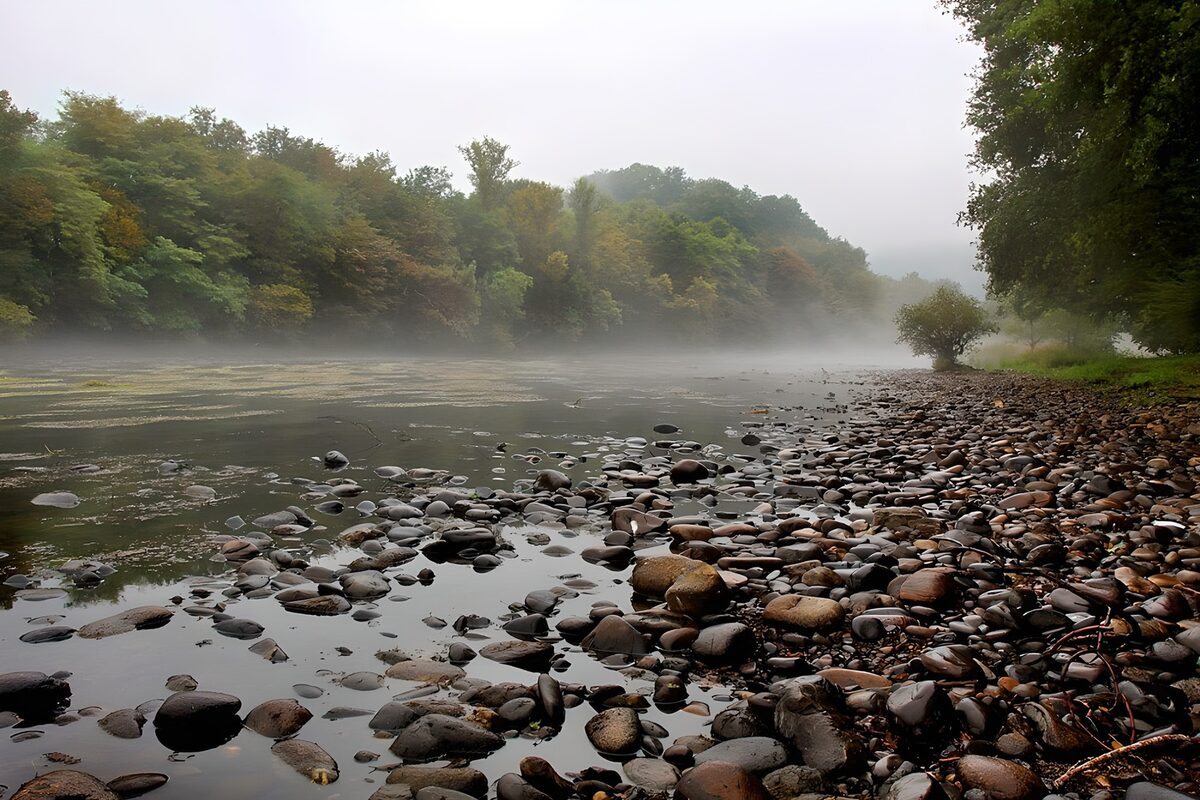 Misty Riverbank Serenity
