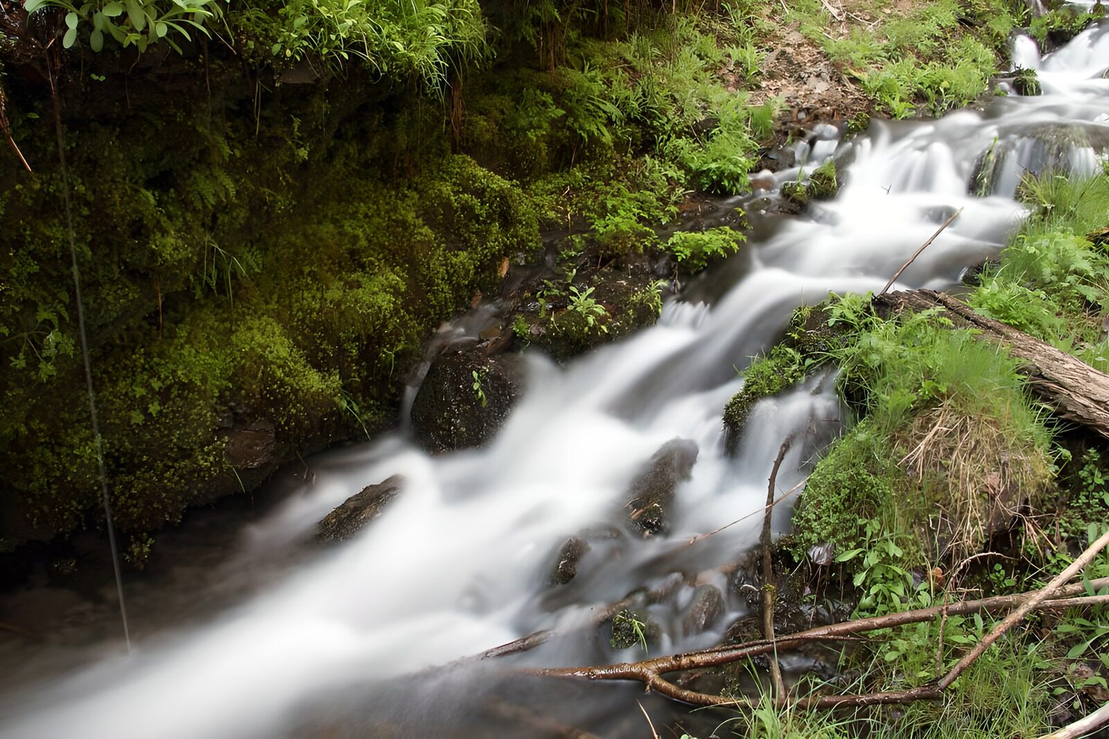 OCCOM8869565: Serene Mountain Stream Flowing