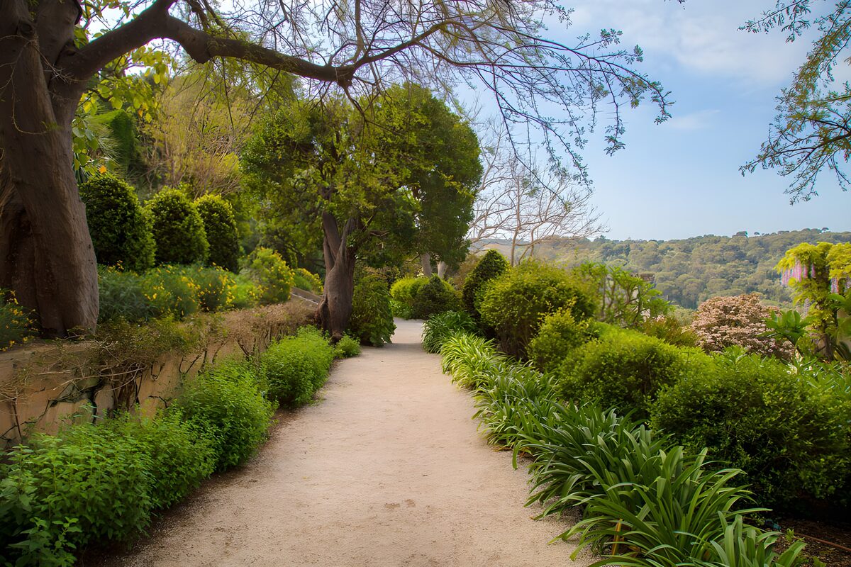 OCCOM9465167: Serene Pathway Through Lush Gardens