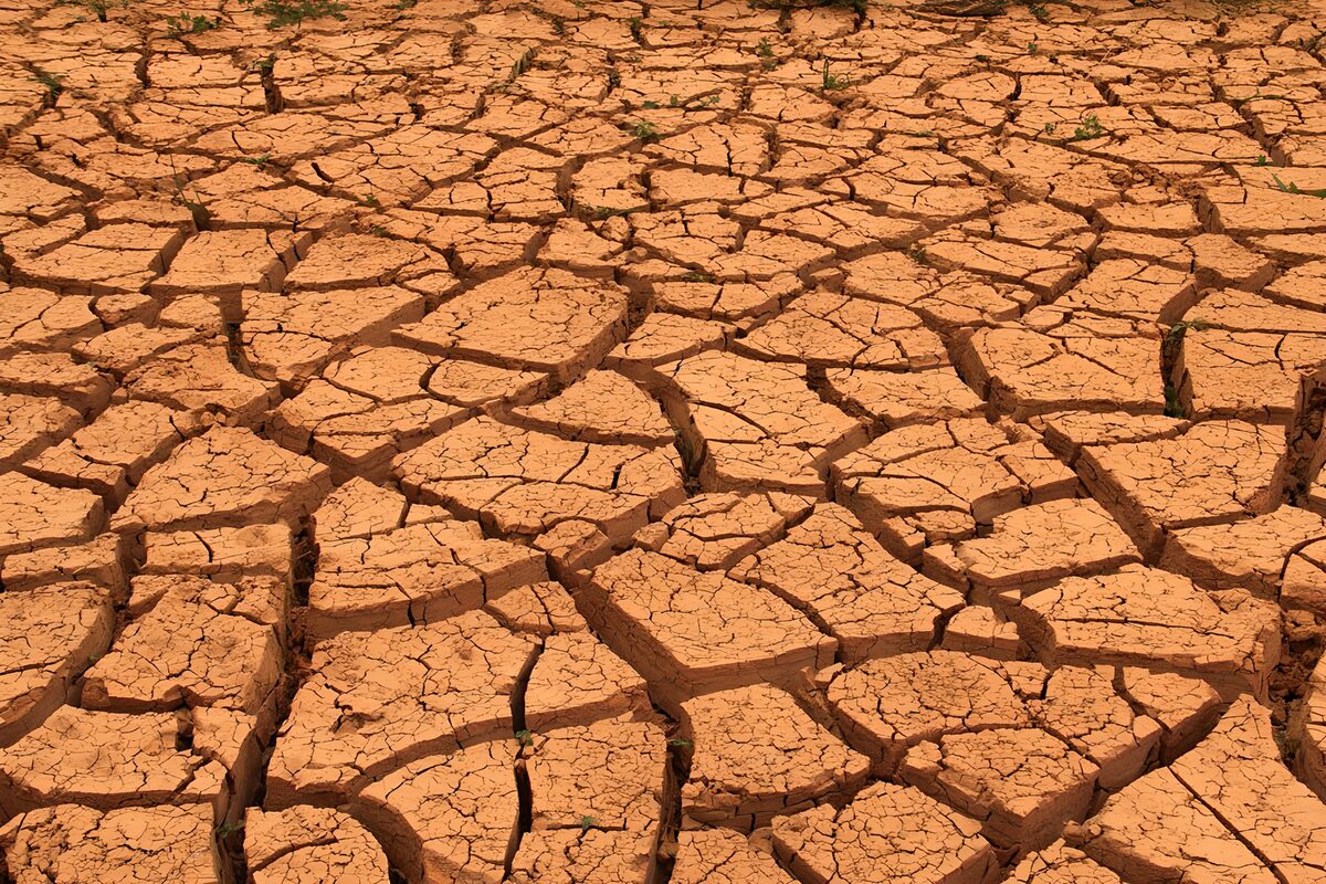 Dry and Cracked Earth Surface