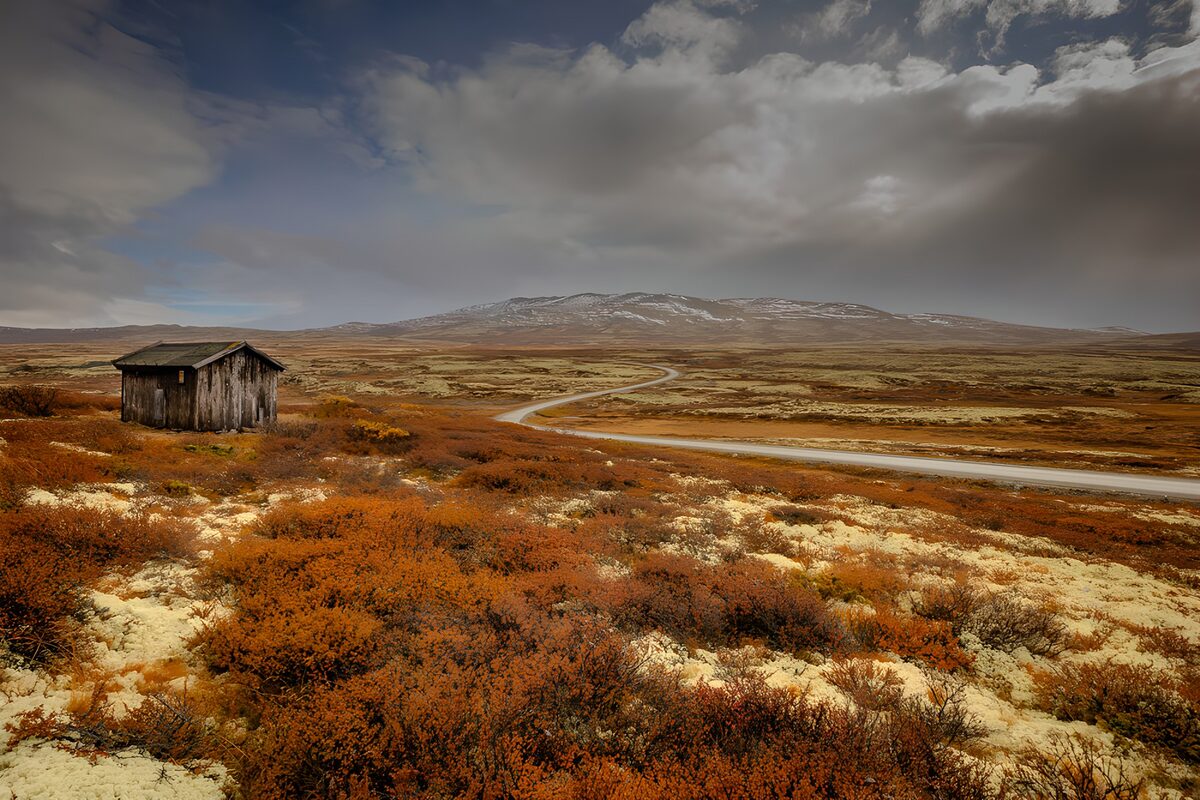 Serene Cabin in Autumn's Embrace