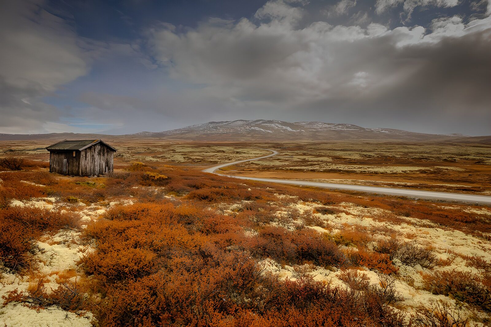 OCCOM6220897: Serene Cabin in Autumn's Embrace