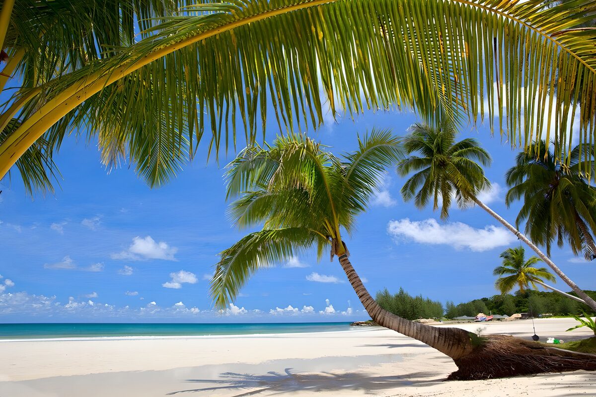 Serene Tropical Beach Paradise