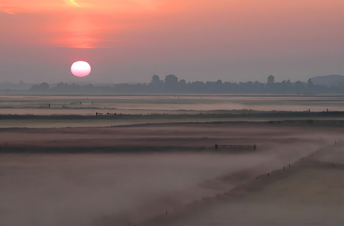 Misty Sunrise Over the Fields