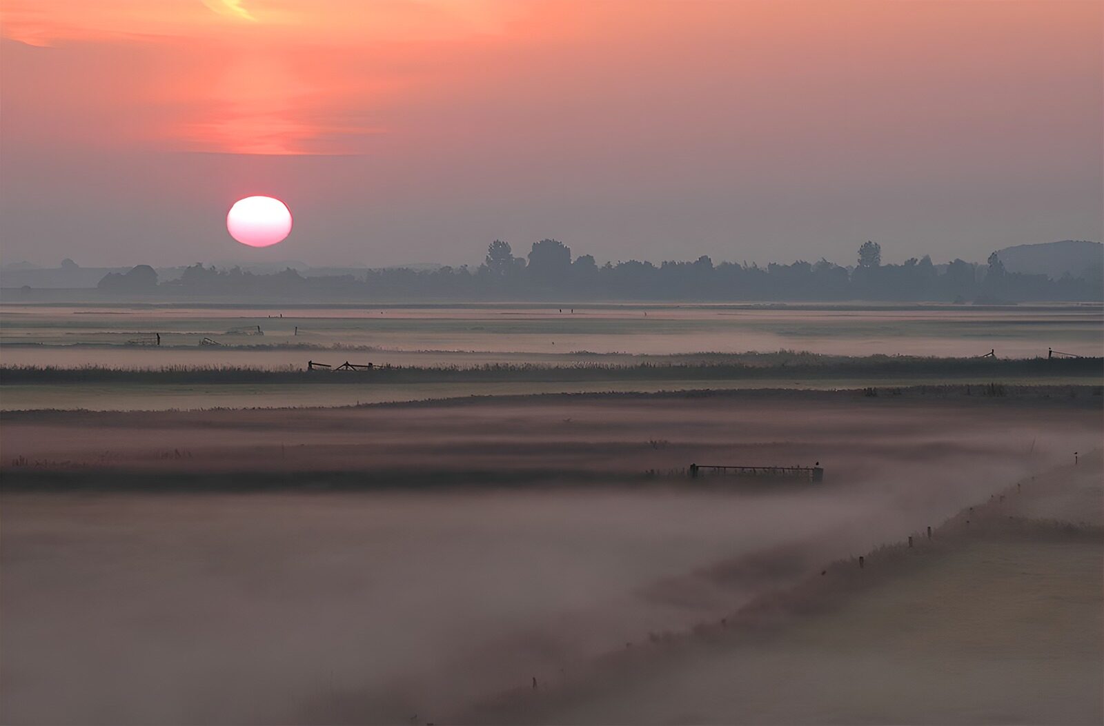 OCCOM2776513: Misty Sunrise Over the Fields