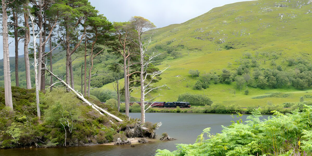 Scenic Train Journey by the Lake