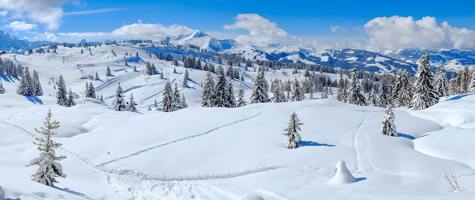 OCCOM6288641: Winter Wonderland in the Mountains