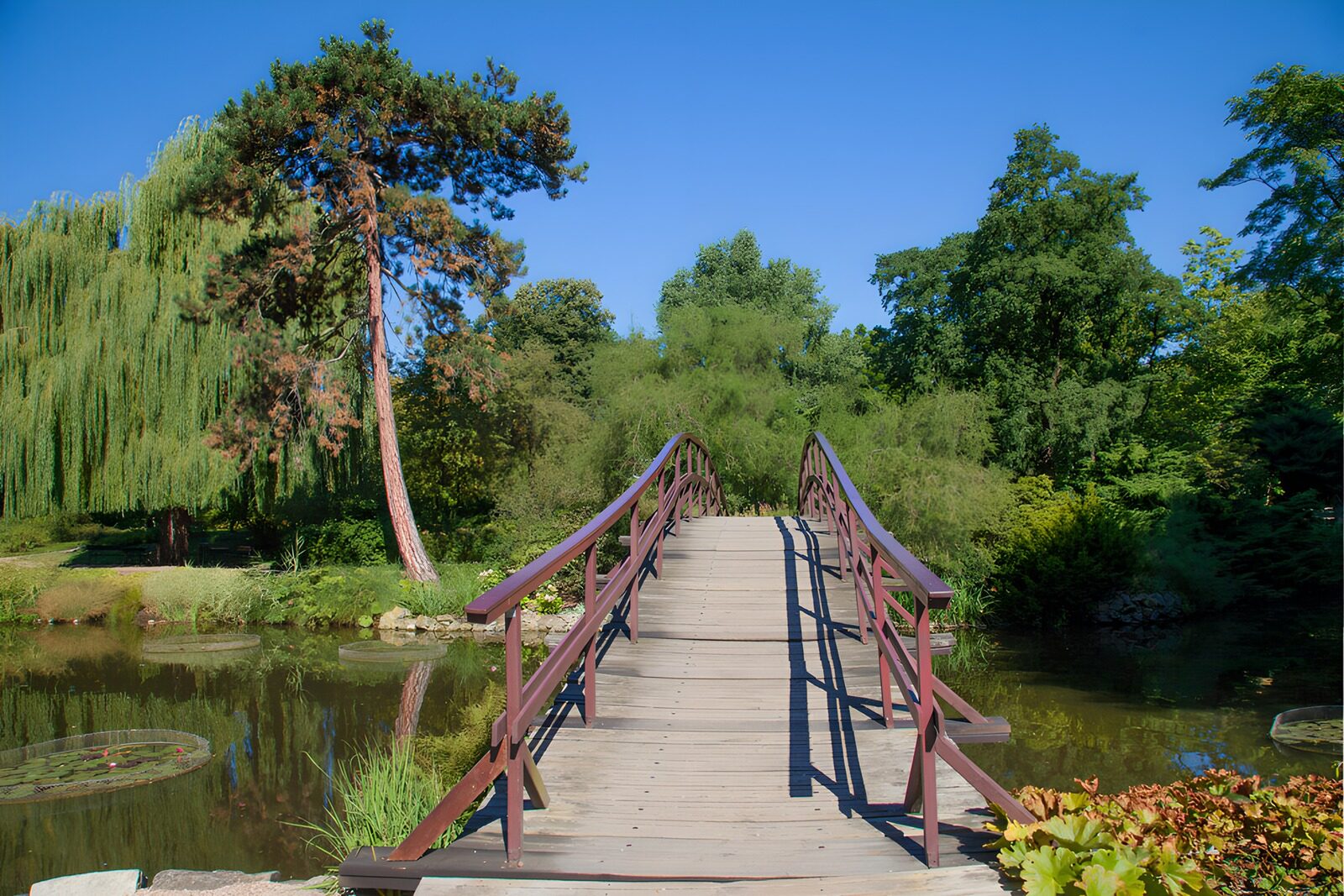 OCCOM8394417: Serene Garden Bridge