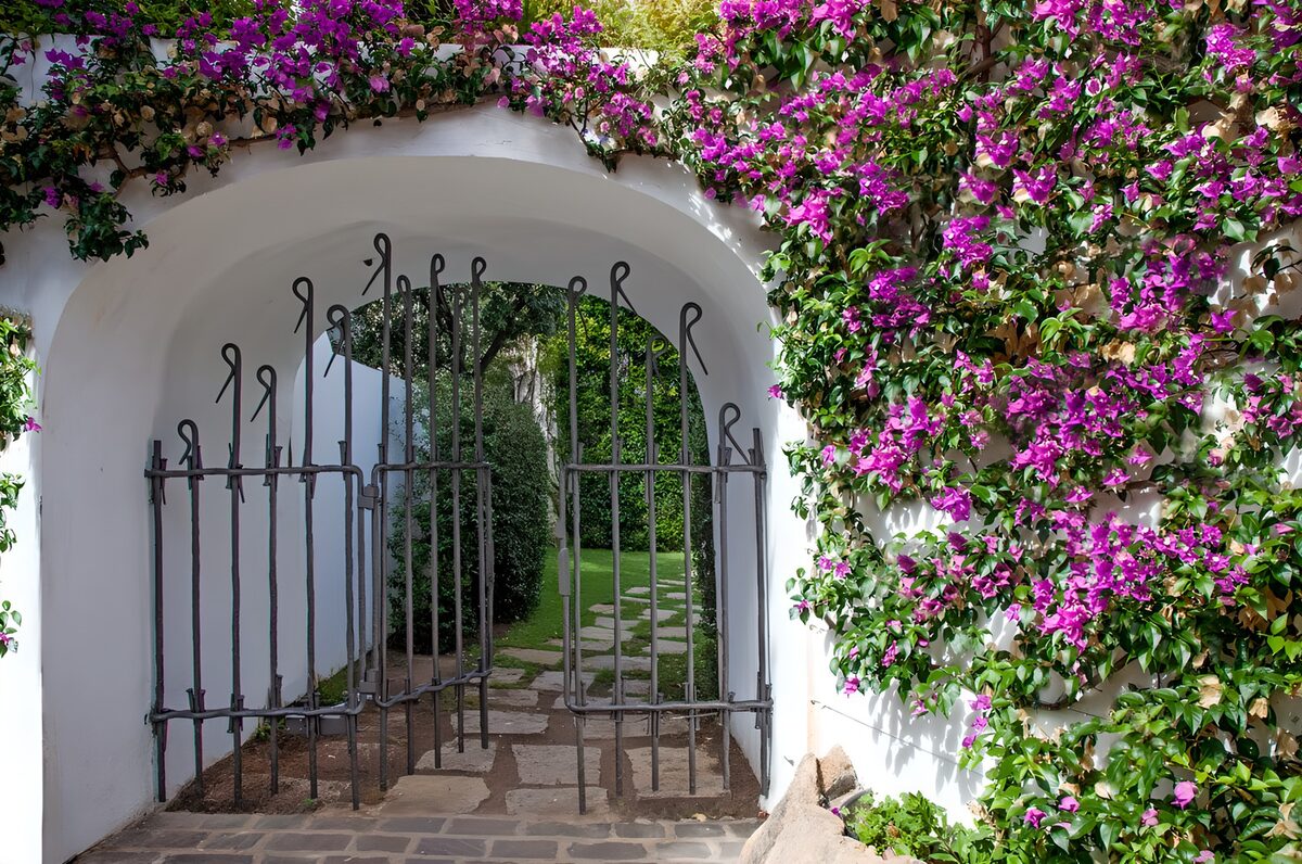 OCCOM4297726: Enchanted Garden Entrance