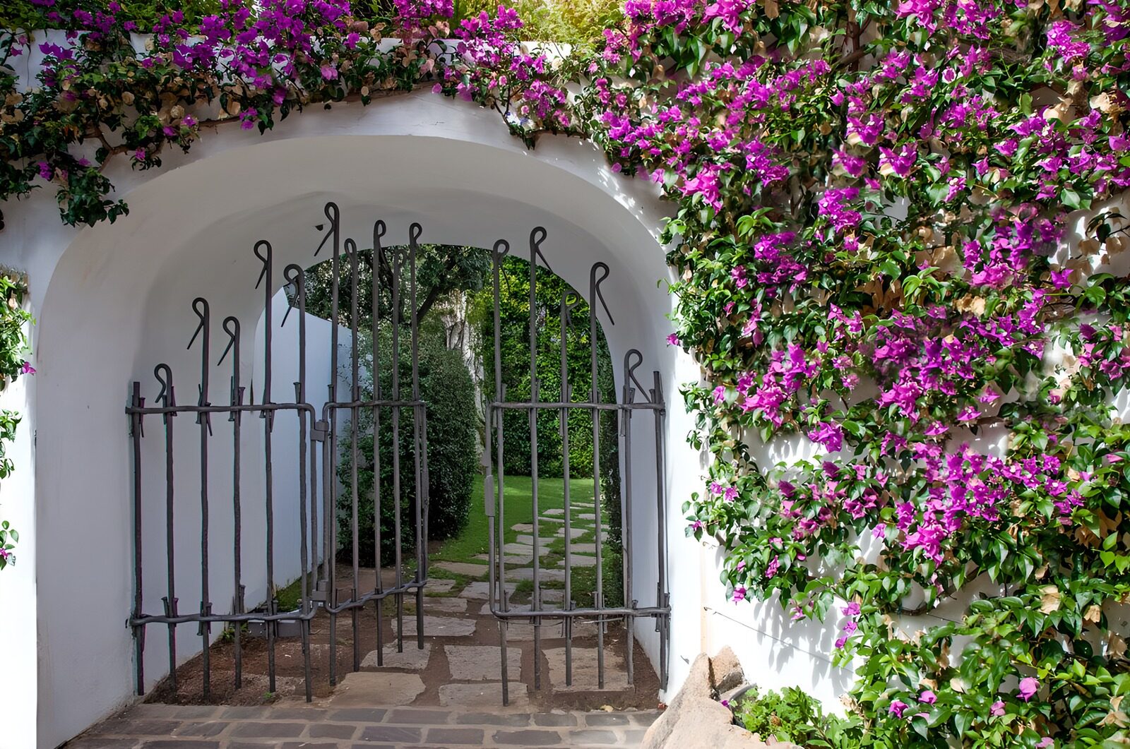OCCOM4297726: Enchanted Garden Entrance