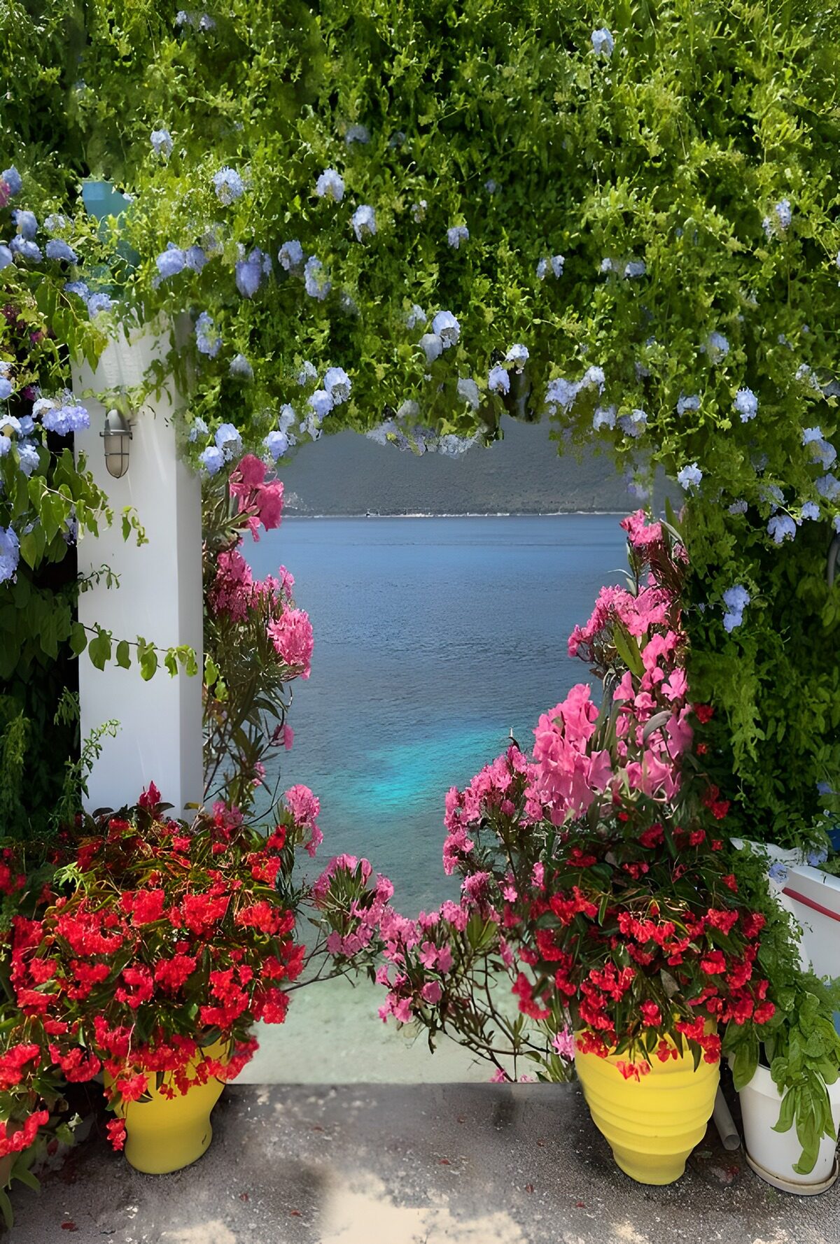 Vibrant Coastal Garden View