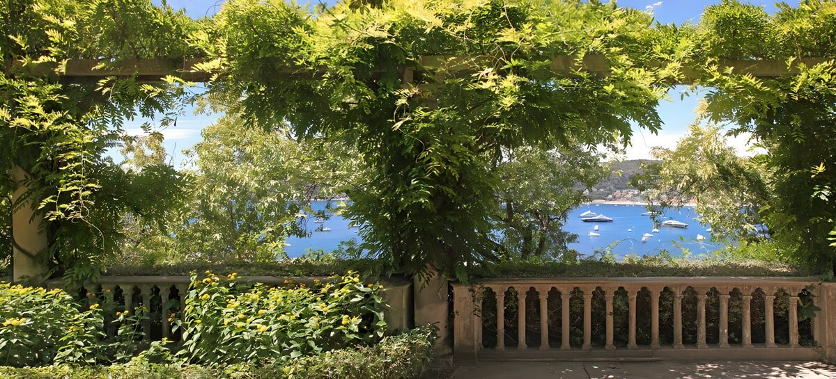 Serene Coastal Vista Through Greenery