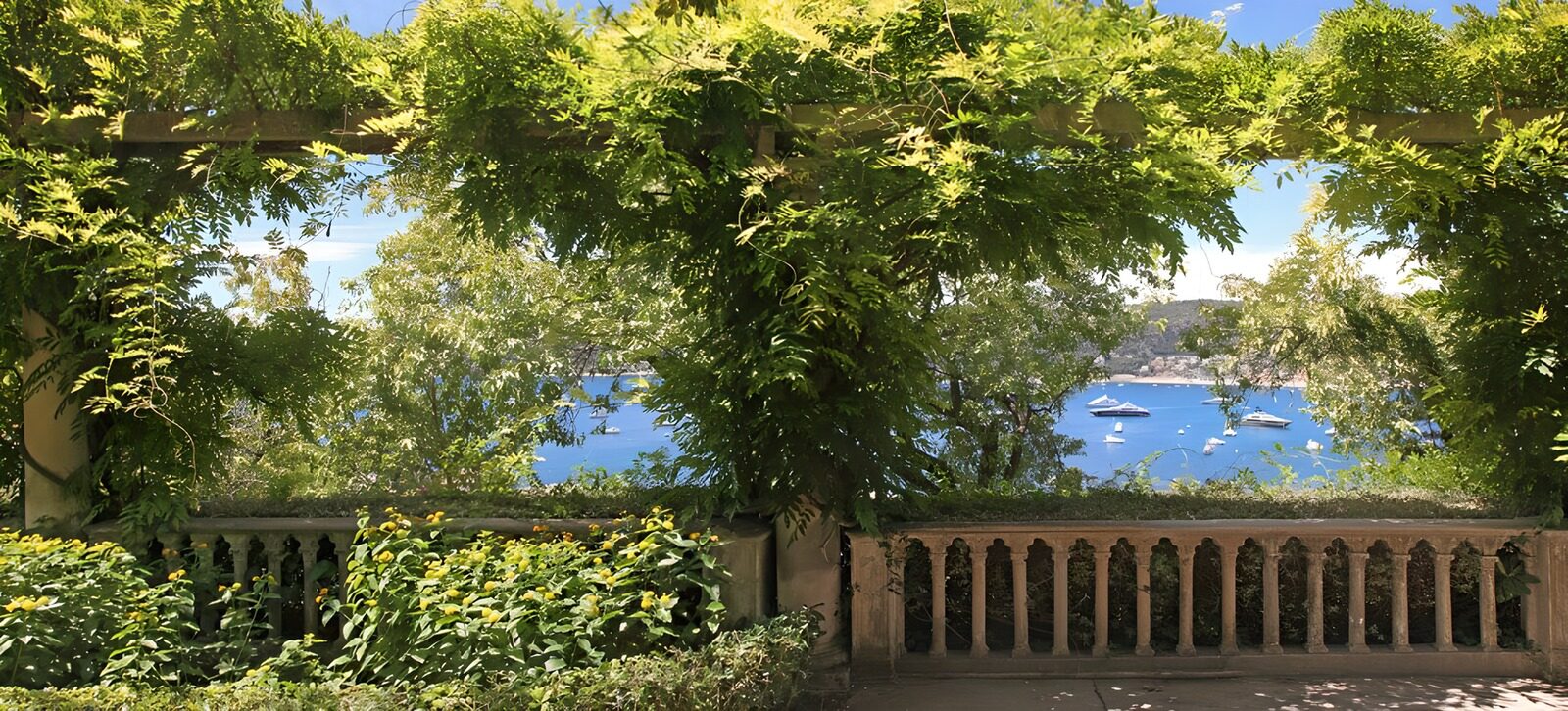 OCCOM8106367: Serene Coastal Vista Through Greenery