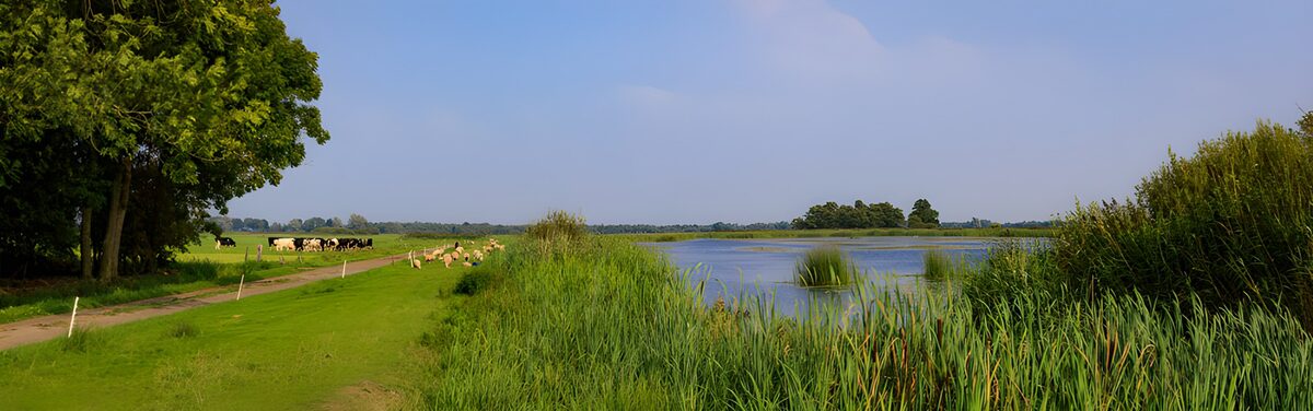 OCCOM8479256: Tranquil Country Landscape
