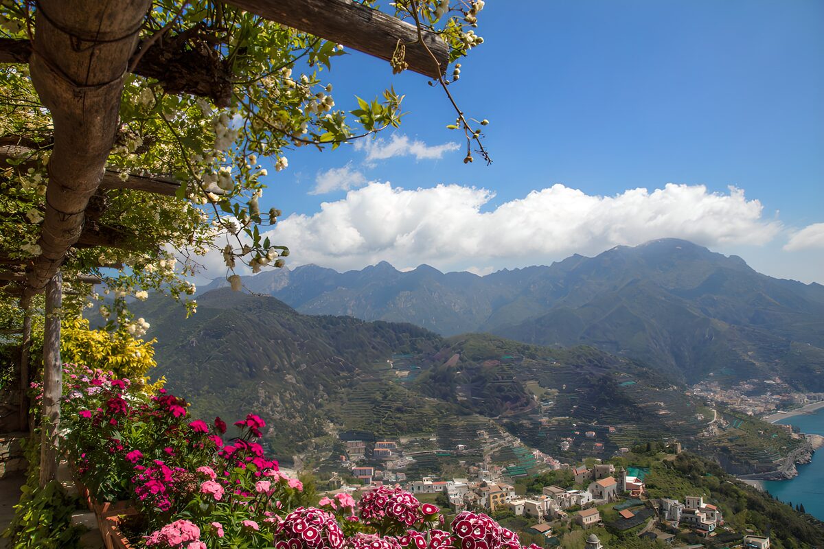 OCCOM1883894: Scenic Coastal Vistas with Blossoming Flowers