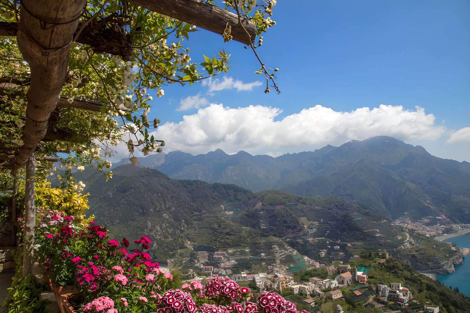 OCCOM1883894: Scenic Coastal Vistas with Blossoming Flowers