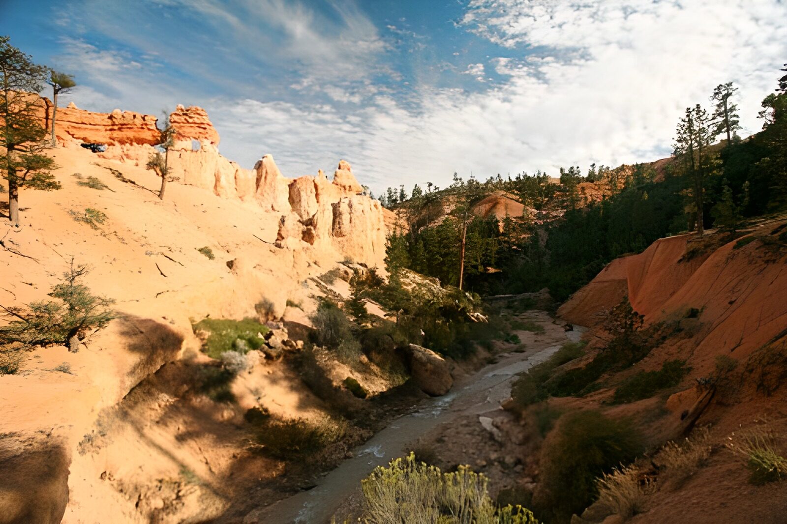 OCCOM5643247: Scenic Canyon View in Nature