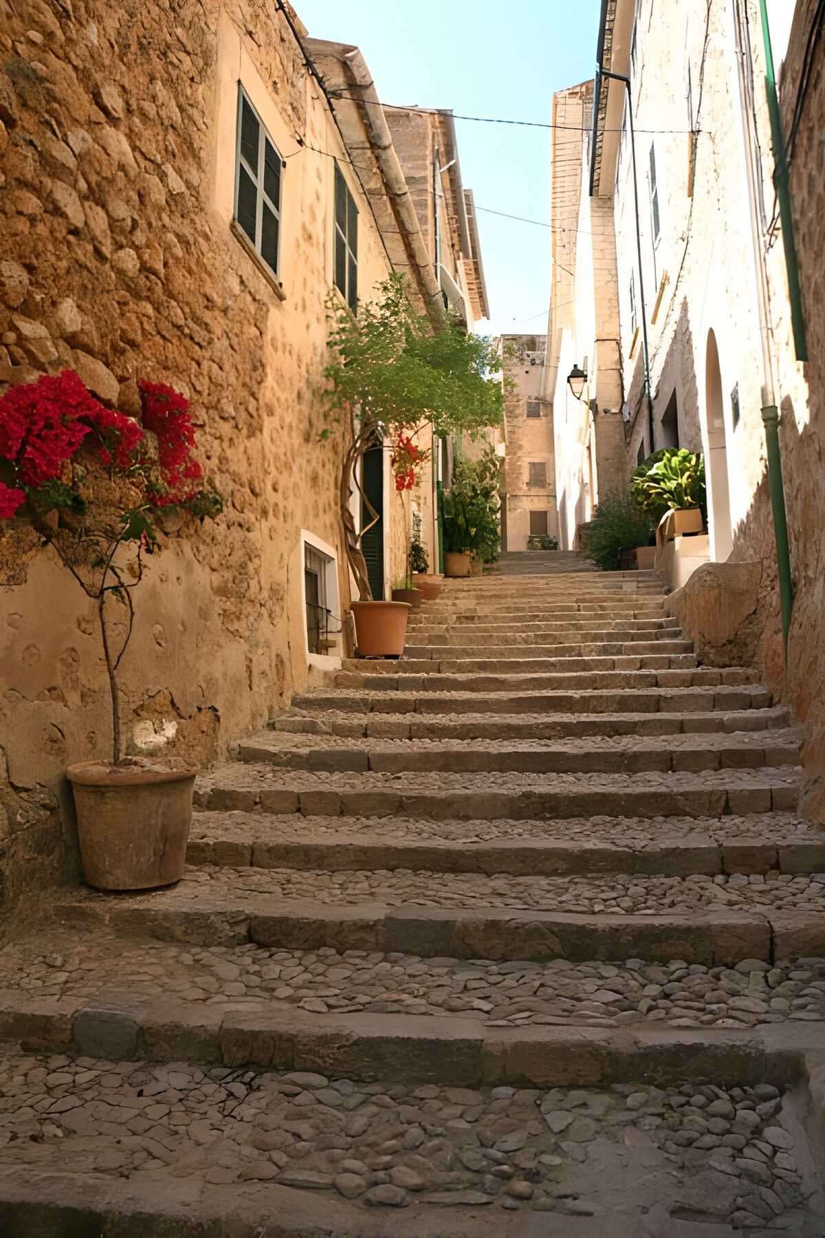 OCCOM9905029: Charming Cobblestone Alleyway