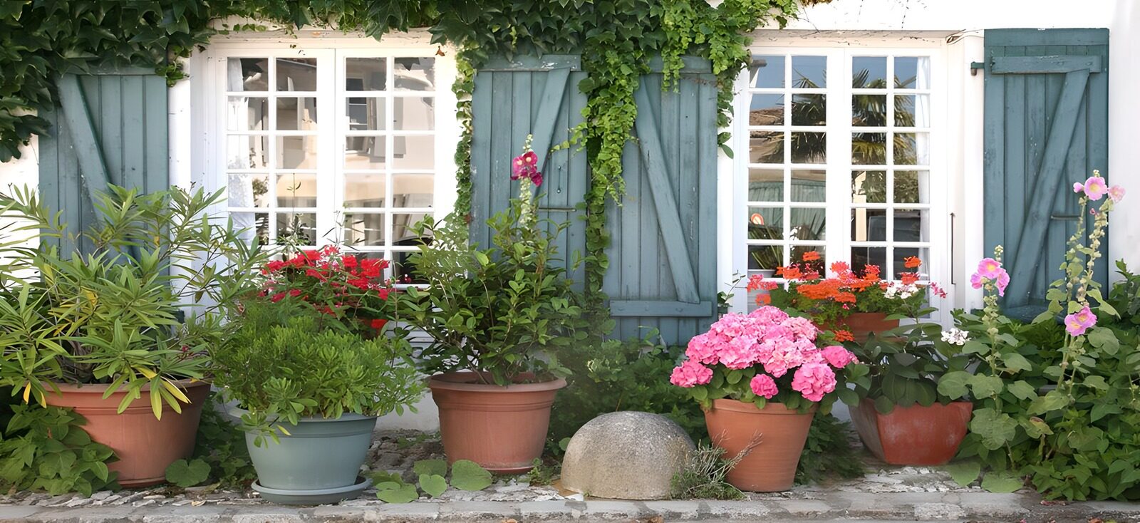 OCCOM5479937: Colorful Flower Pots by a Charming Window