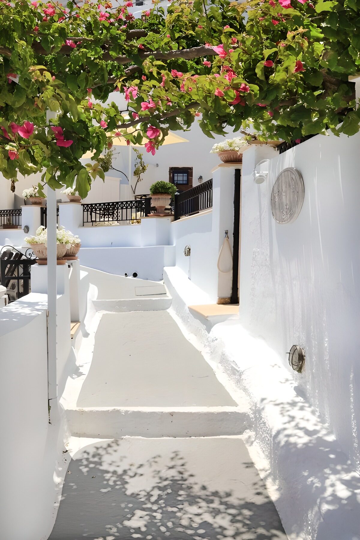 OCCOM8139164: Serene Pathway Under Blooming Bougainvillea