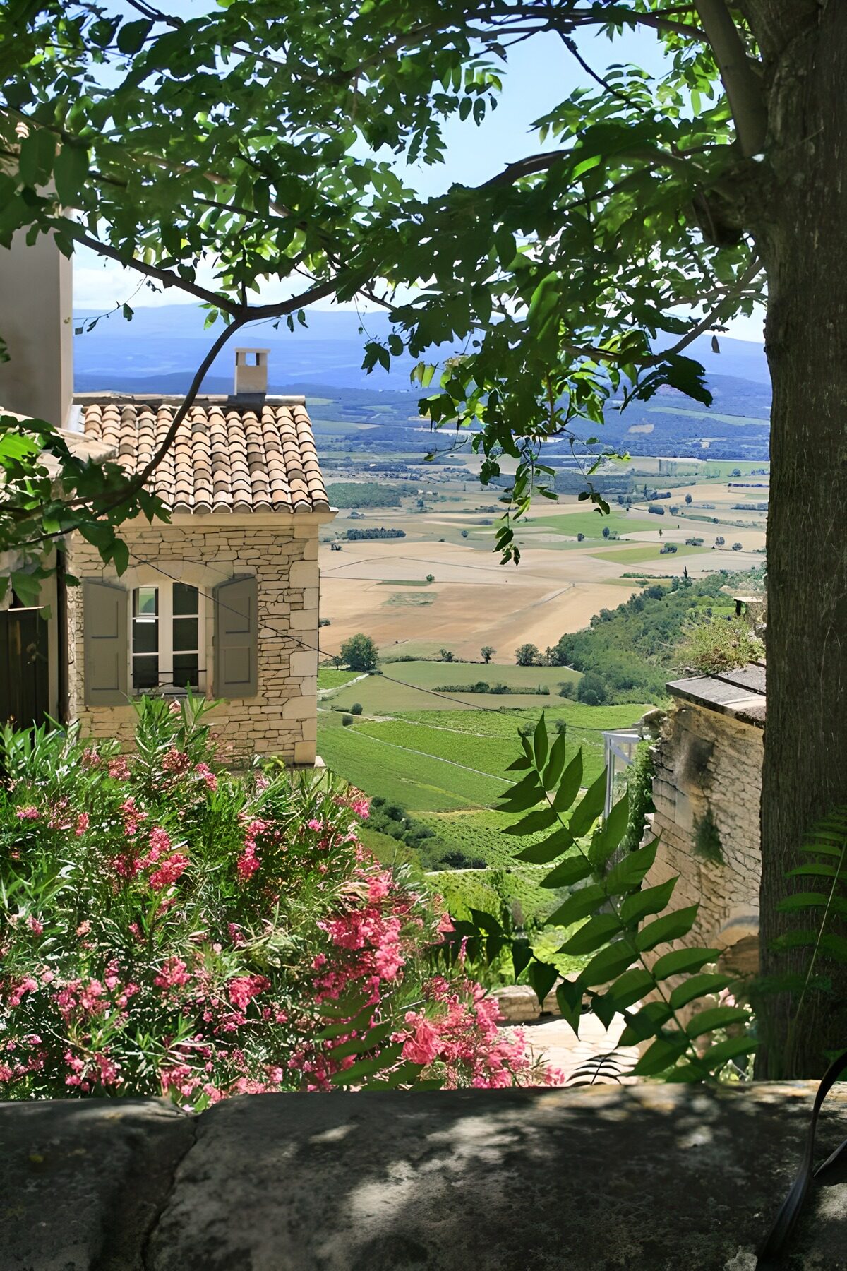 OCCOM9166606: Idyllic Landscapes of Provence