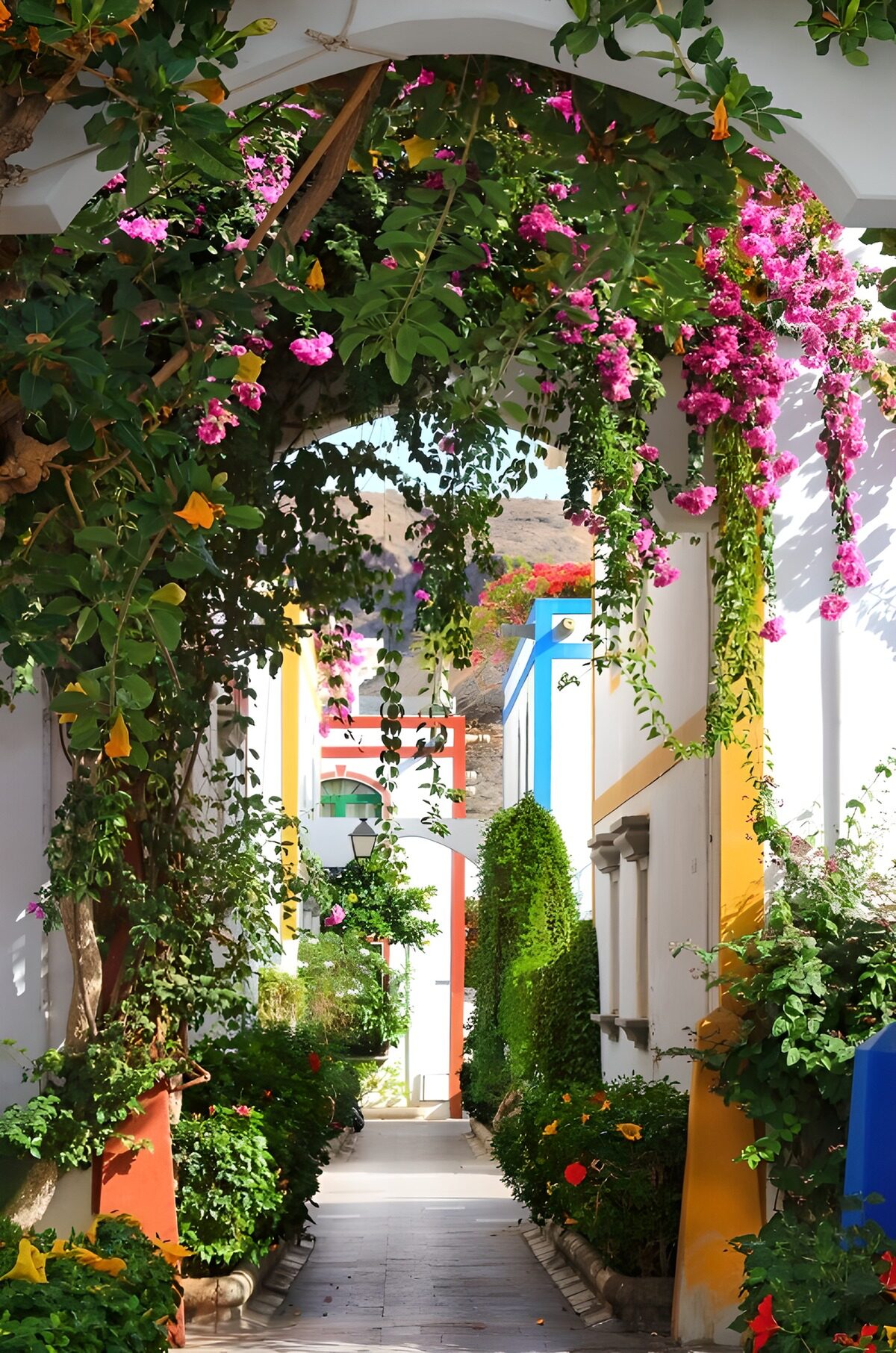 OCCOM5958590: Vibrant Floral Pathway in a Colorful Village