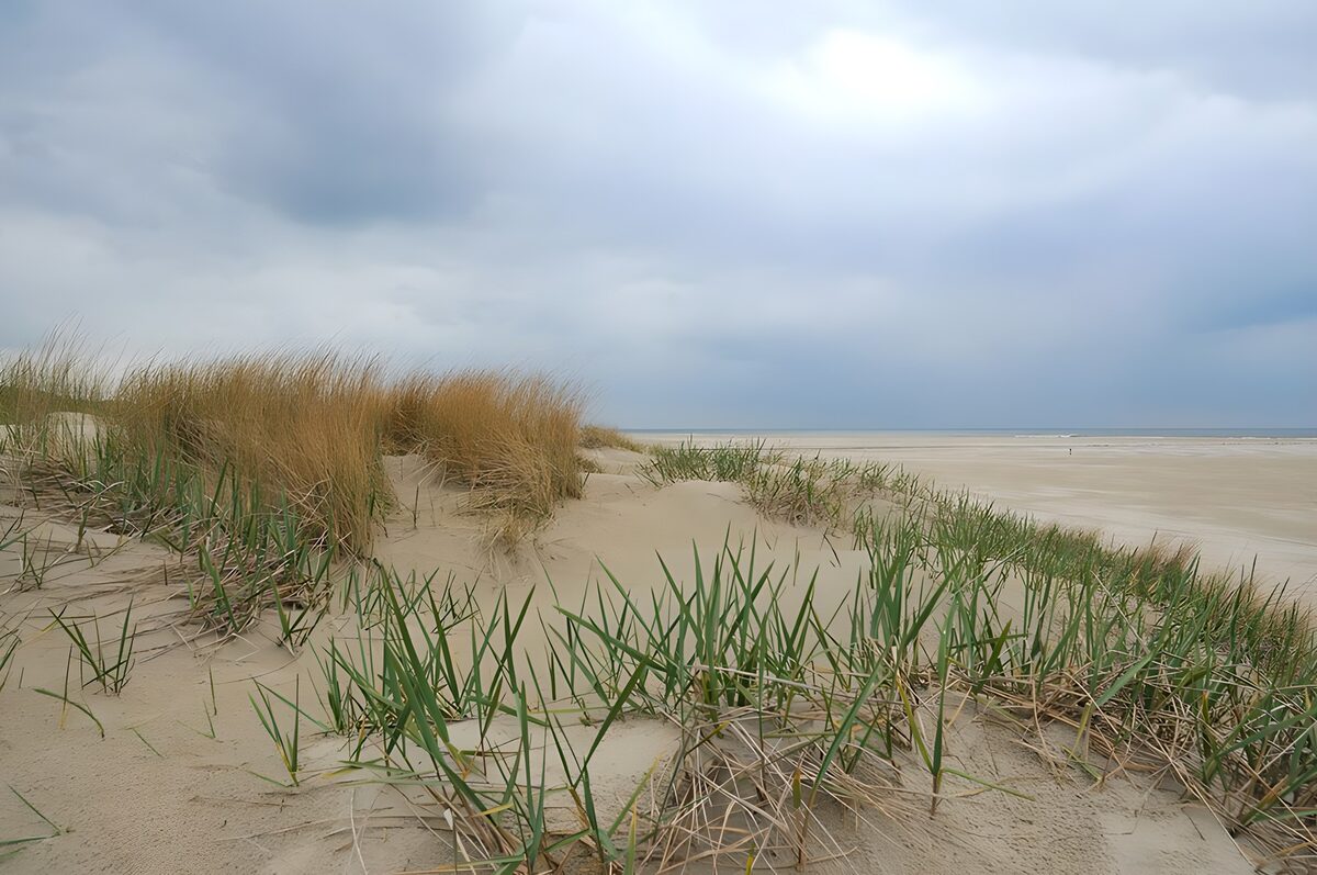 Serene Coastal Dunes Under Cloudy Sky