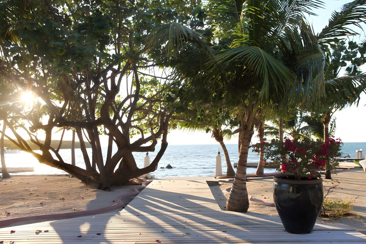 OCCOM6101377: Serene Beach Pathway at Sunset
