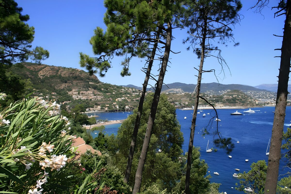 Spectacular Coastal View from the Hills