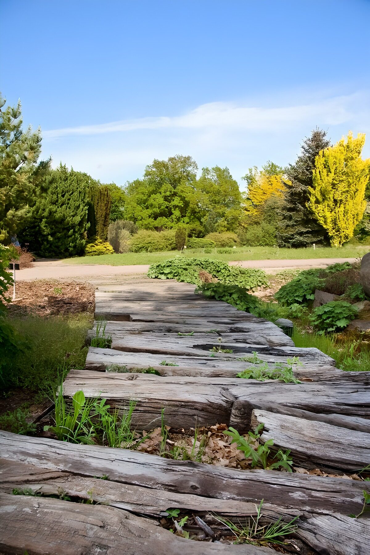 OCCOM3721677: Serene Pathway Through Nature