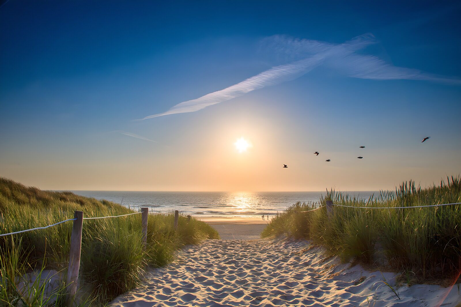 OCCOM6245991: Serene Beach Path at Sunset