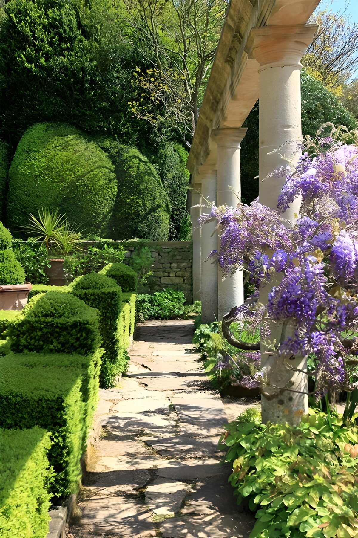 OCCOM5051524: Serene Garden Pathway
