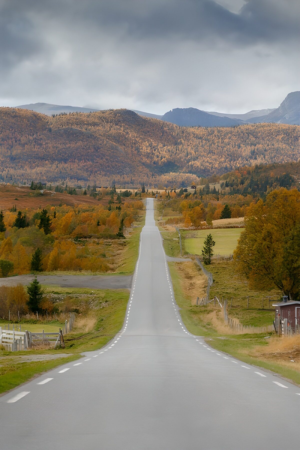 Serene Autumn Road Through Mountains