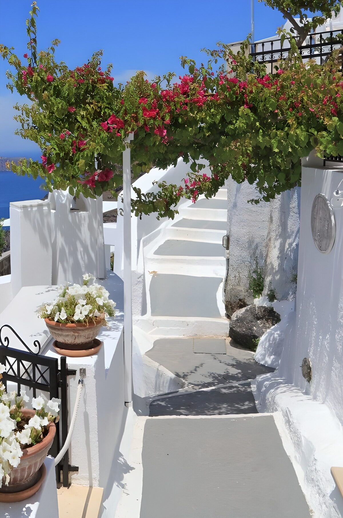 OCCOM7832155: Charming Steps in a Coastal Village