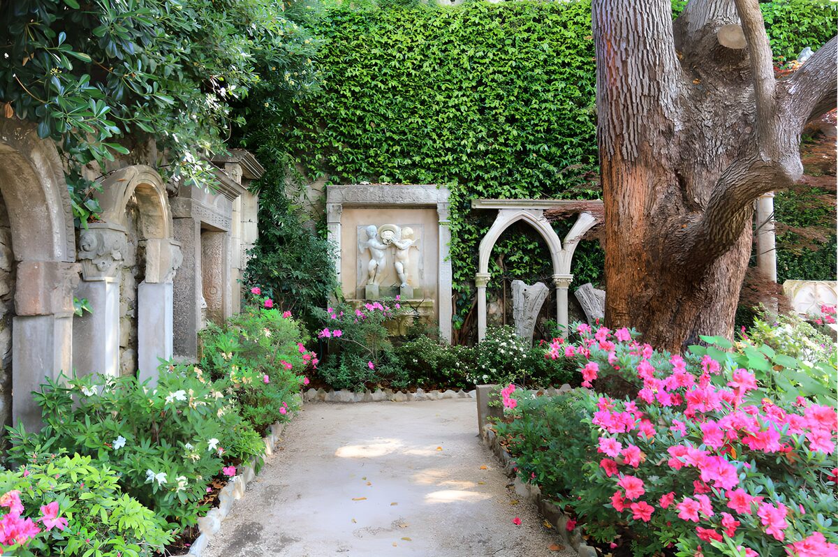 OCCOM6589105: Serenity in a Blooming Garden