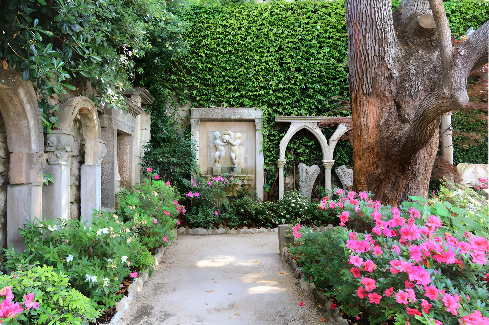 OCCOM6589105: Serenity in a Blooming Garden